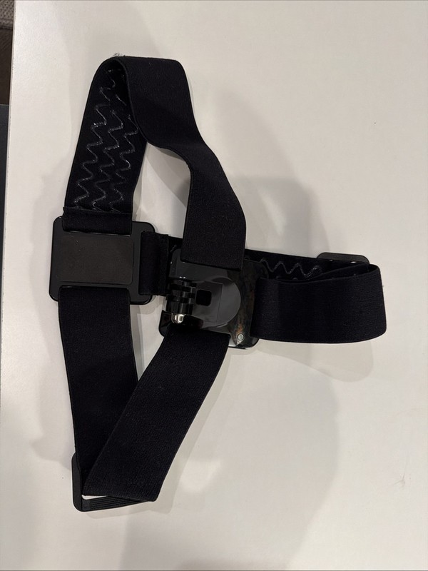 Genuine GoPro Head Mount 