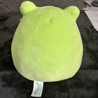 Kellytoy Squishmallow 8 Inch Wendy The Frog Super Soft Plush Toy Pillow Pet — photo 3