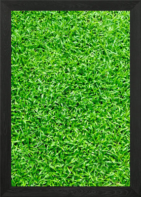 Gras gerahmtes Wandbild Poster Leinwanddruck Bild