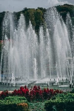 Digital Image Picture Photo Pic Wallpaper Background Red Flowers Fountain Park
