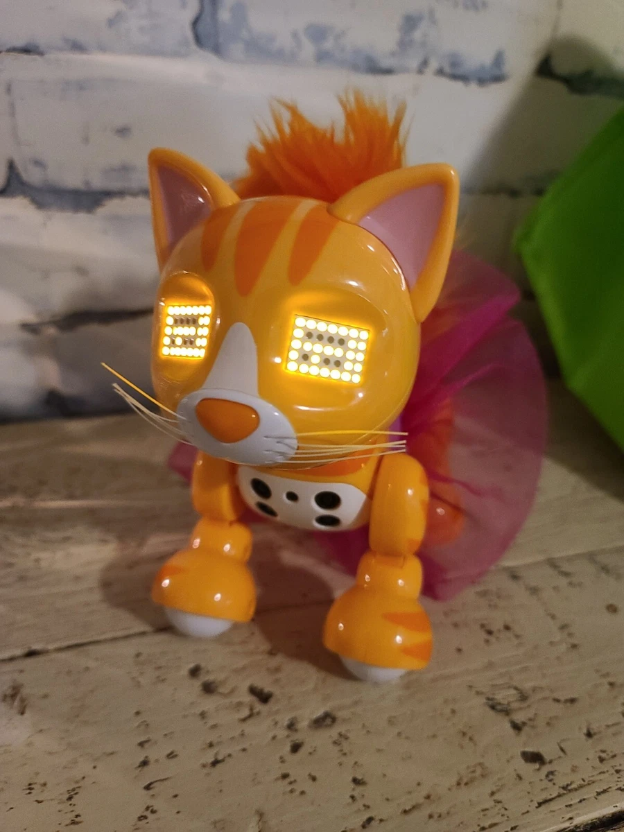 Zoomer kitty orange 2025