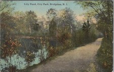 Postcard Lily Pond City Park Bridgeton NJ 