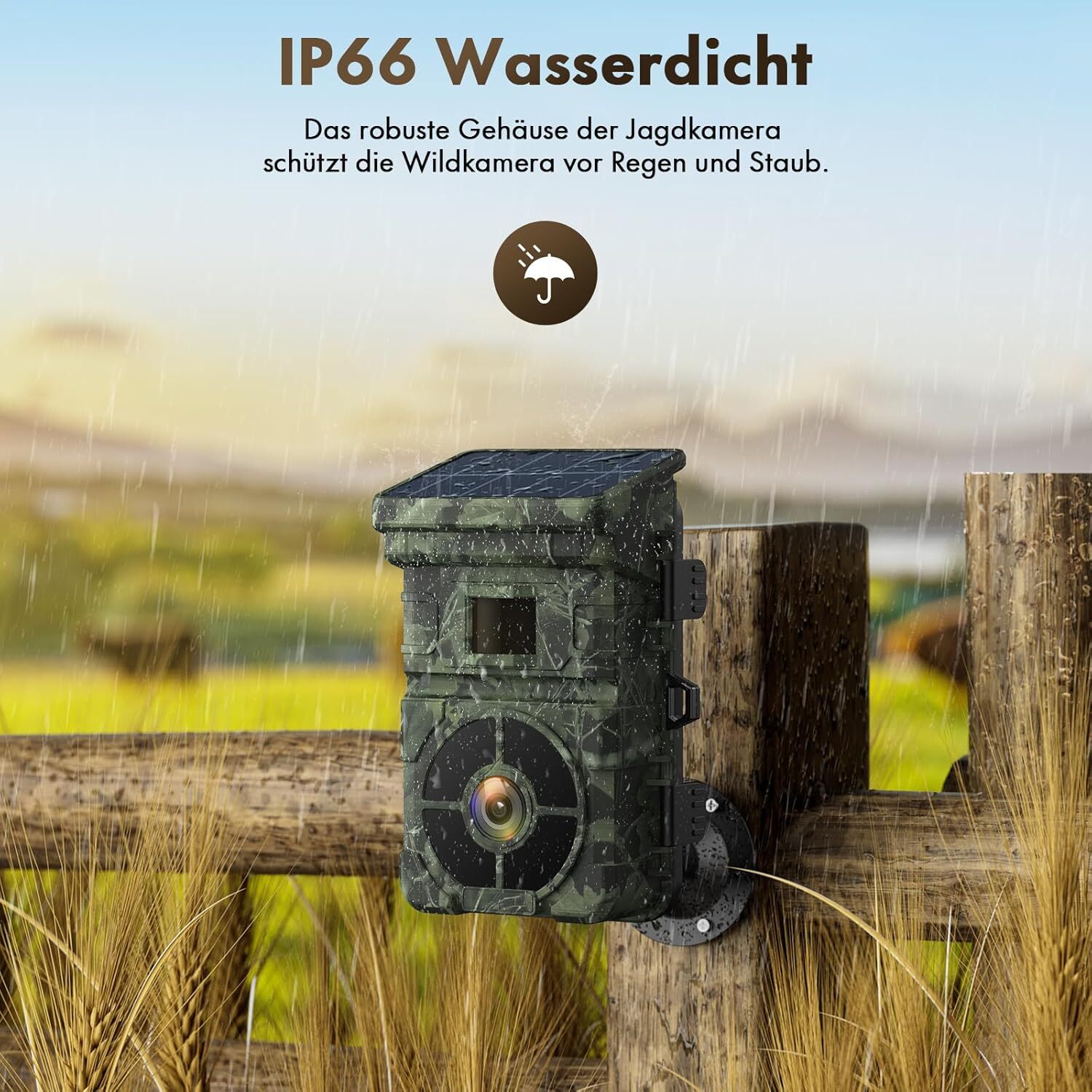 Bild 10 von 11