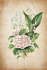 13718.Decor Poster print.Room Wall art design.Botanical.Flowers bouquet.Bathroom