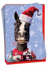 Christmas-Holiday Horse: Hilarious Set of 12 Cards w/ Envelopes - Santa Hat