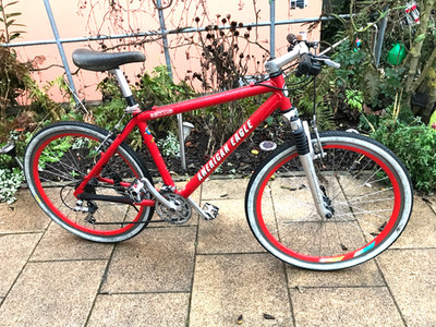 American Eagle.MTB aus USA.26 Zoll.gut erhalten.SELTEN