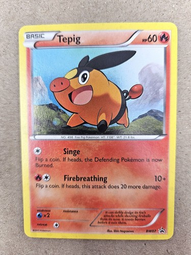 Tepig BW07 Holo Black & White Promo Near Mint