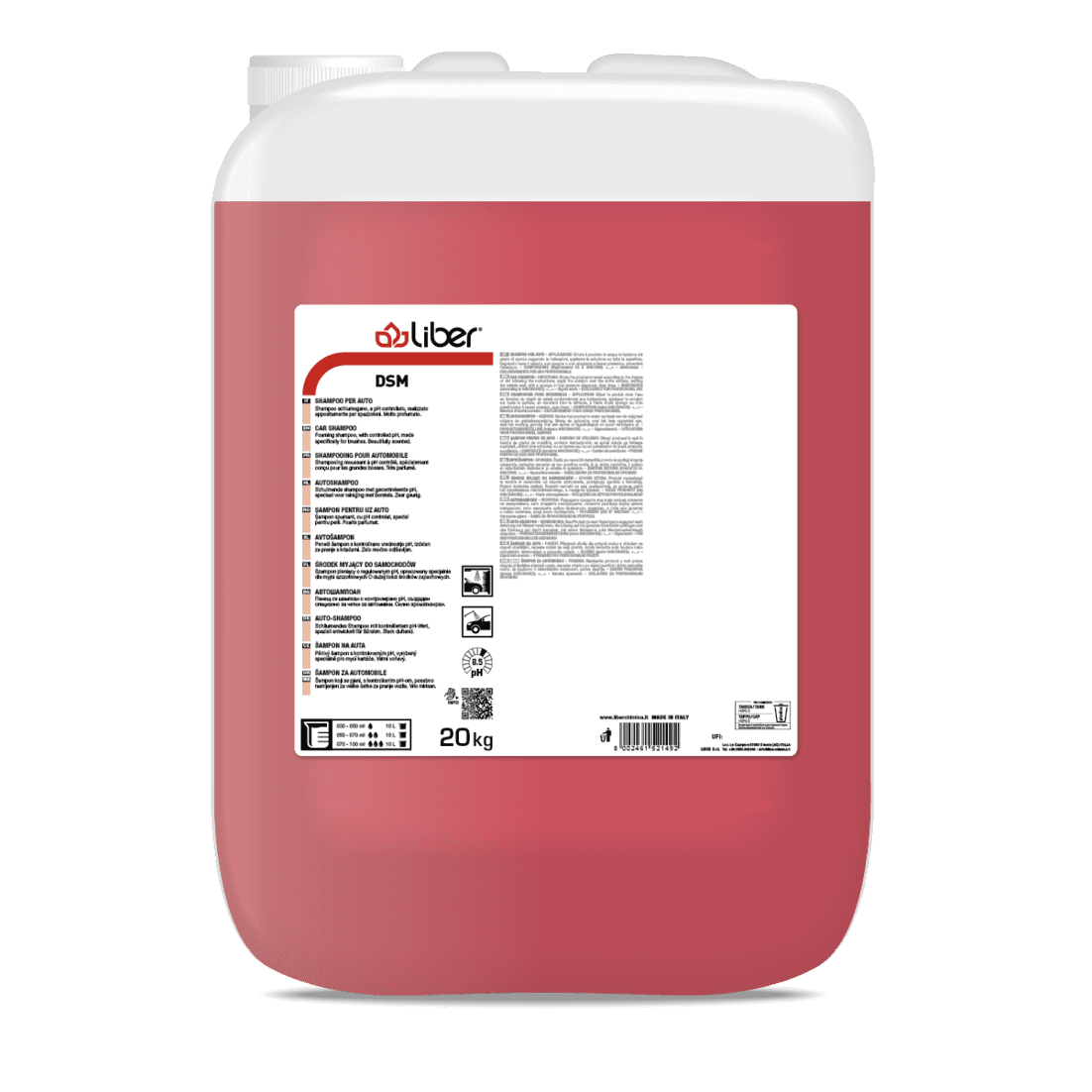 SHAMPOO PER AUTO LIBER DSM KG 20