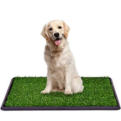 Giantex Hund Welpe Haustier Töpfchen Pad 30x20 Zoll