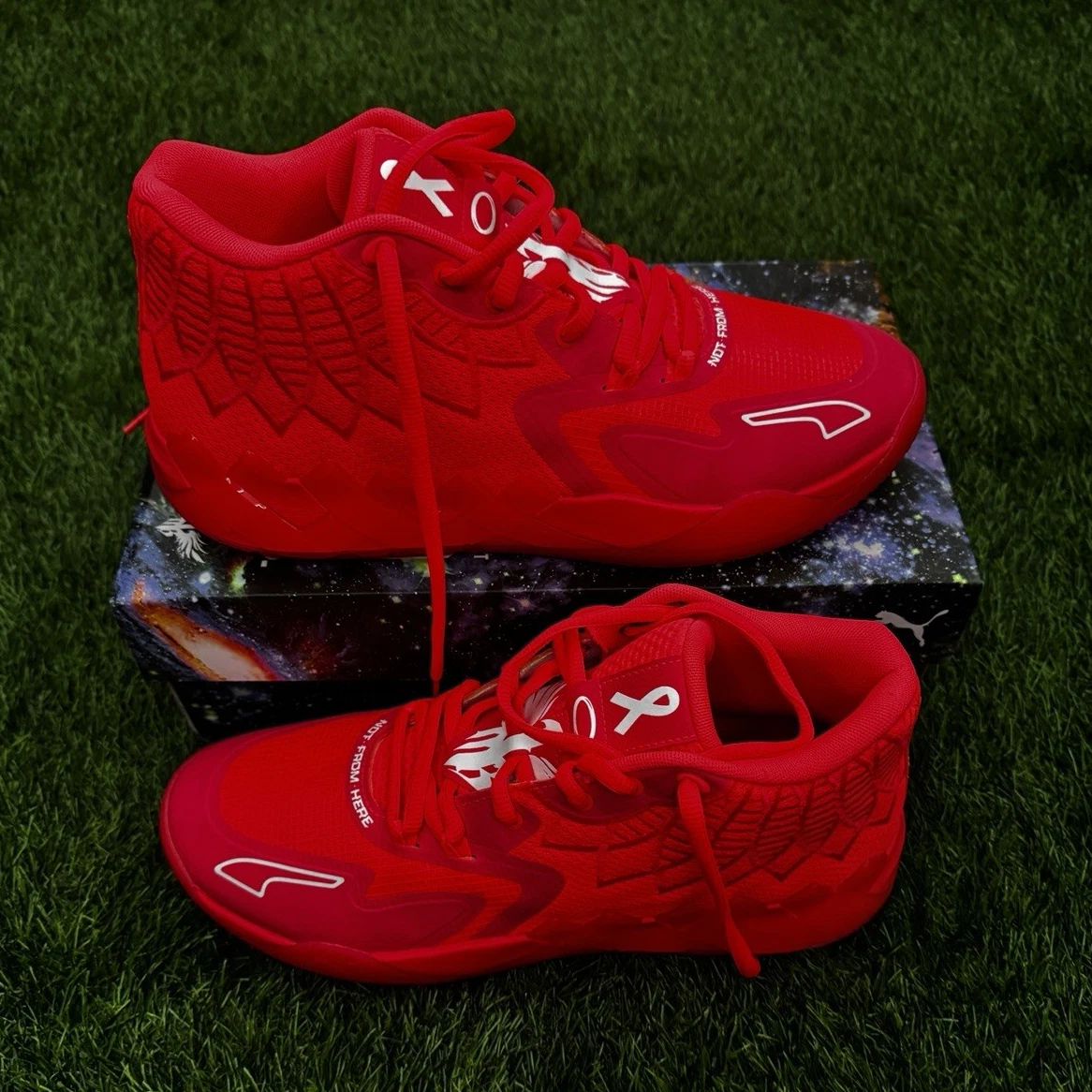 シューズ(男性用) Puma MB.01 BCA \