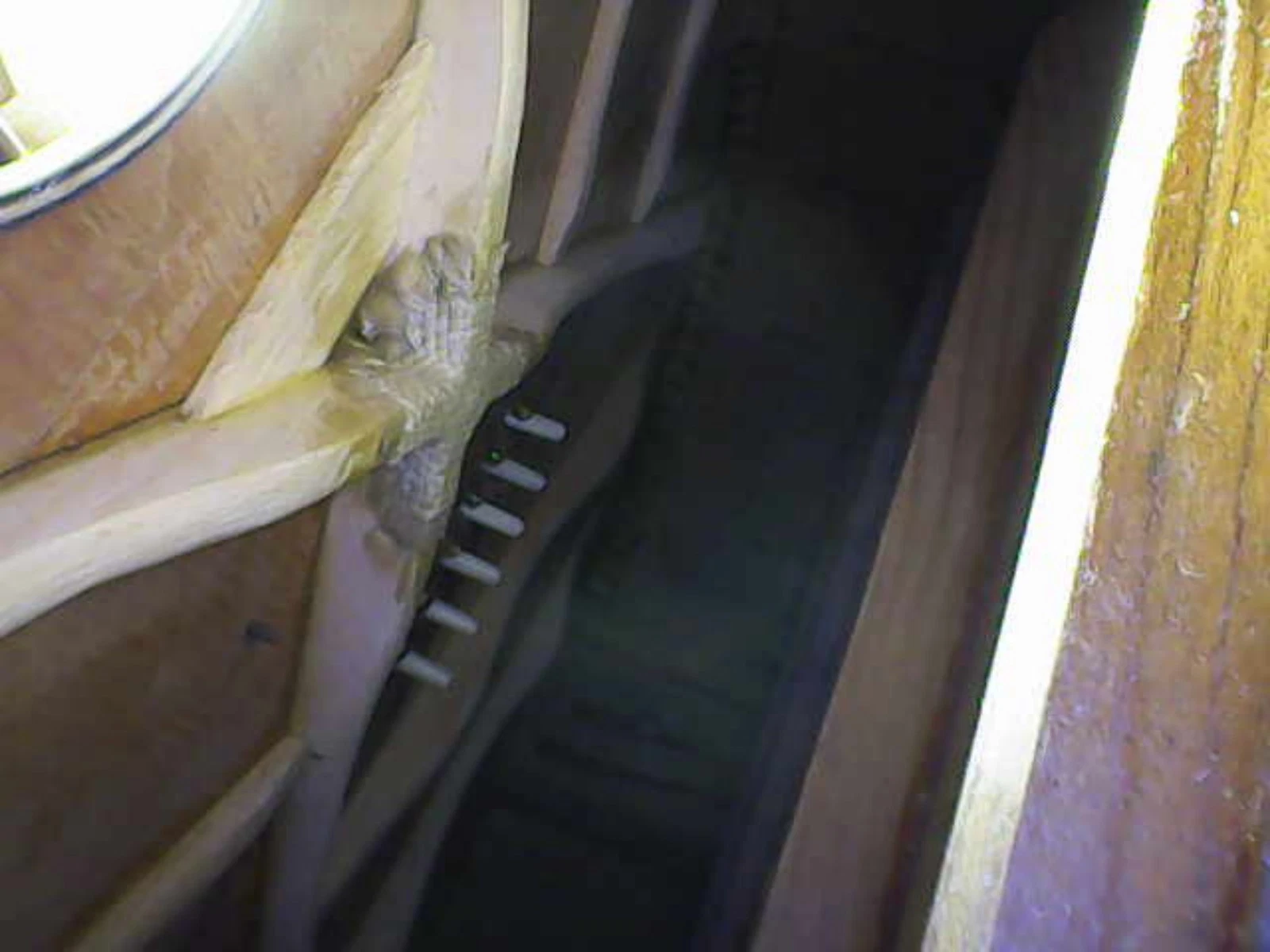 Picture 20 of 23