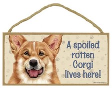 A Spoiled Rotten Corgi lives here Cute Dog Sign NICE GIFT 5"x10" NEW Plaque 376