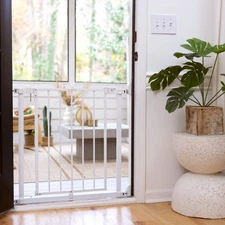 INGENUITY 28 in. Pet & Baby Gate w/ Quad Cam Lock, Pressure or Hardware Mounted