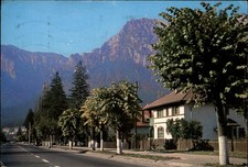 Busteni Romania mountain view vintage postcard w731