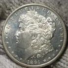 1891 Morgan Silver Dollar Brilliant Uncirculated Cameo With Mirrors