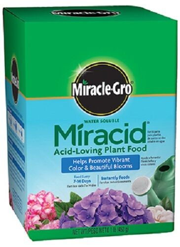 3 Miracle Gro 1750011 1 lb Miracid Acid Loving Azalea Rhododendron Fertilizer - Picture 2 of 4