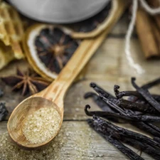 Warm Vanilla Sugar Fragrance Oil for candle/soap making Free Shipping