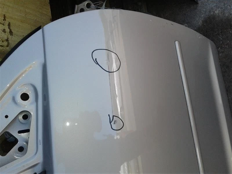 (LOCAL PICKUP ONLY) Passenger Front Door With Side Moulding Holes Fits 06-12 FUS Foto 3 de 4