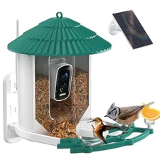 Bird Feeders for Outdoors, Smart Bird Feeder with Camera Standard Forest Green