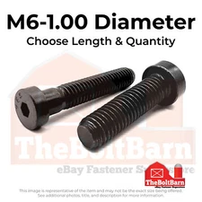 M6-1.00 Class 10.9 Low Socket Head Cap Screws Black Oxide (Pick Length & Qty)