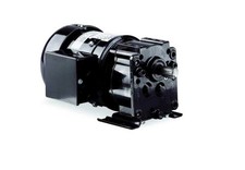 DAYTON AC Gearmotor, 278 in-lb Max. Torque, 30 RPM Nameplate RPM, 115/230V AC Vo