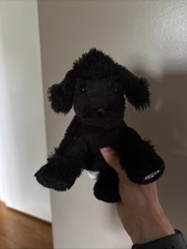 Webkinz Lil Kinz Black Poodle No Code