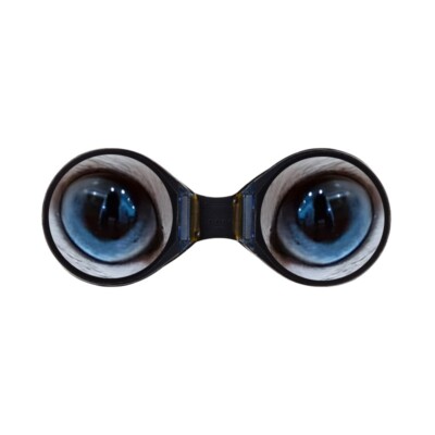 0.71inch Double Eye Round IPS LCD Display Module 160×160 SPI Interface 65K Color