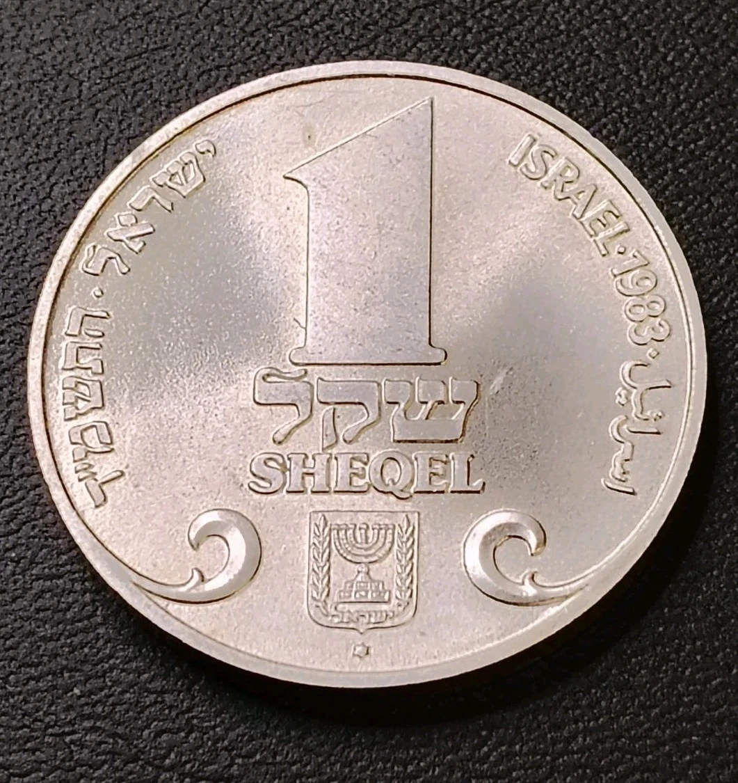 以色列在以色列谢克尔硬币| eBay