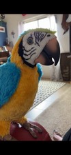 Hasbro Furreal Friends Squawkers Mccaw Interactive Parrot Toy 2007 Macaw