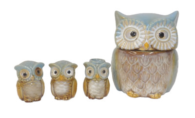 4 Pc Ceramic Blue Owl Set - Cookie Jar Salt Pepper Shakers Toothpick Holder