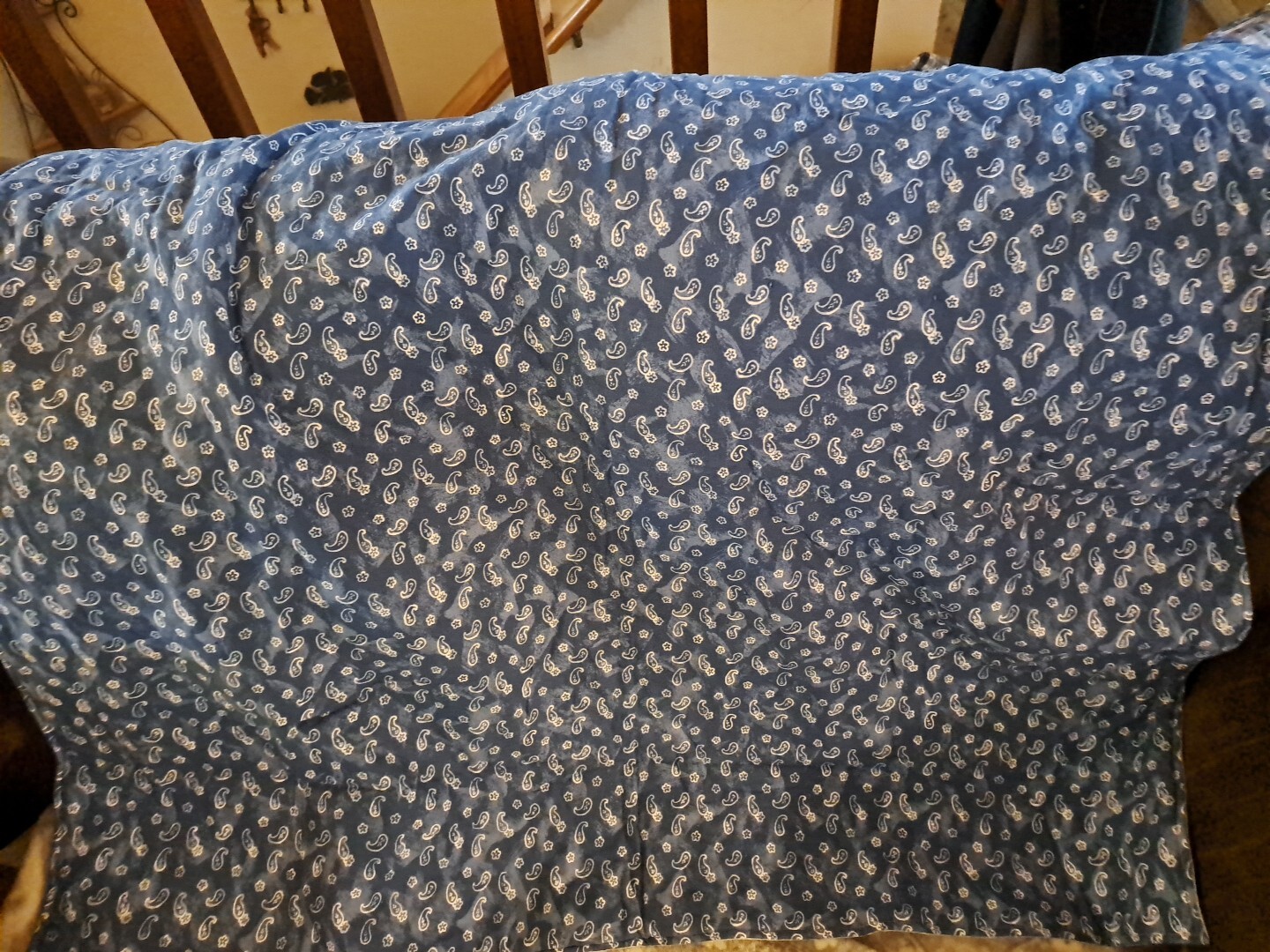 Picture 4 of 5