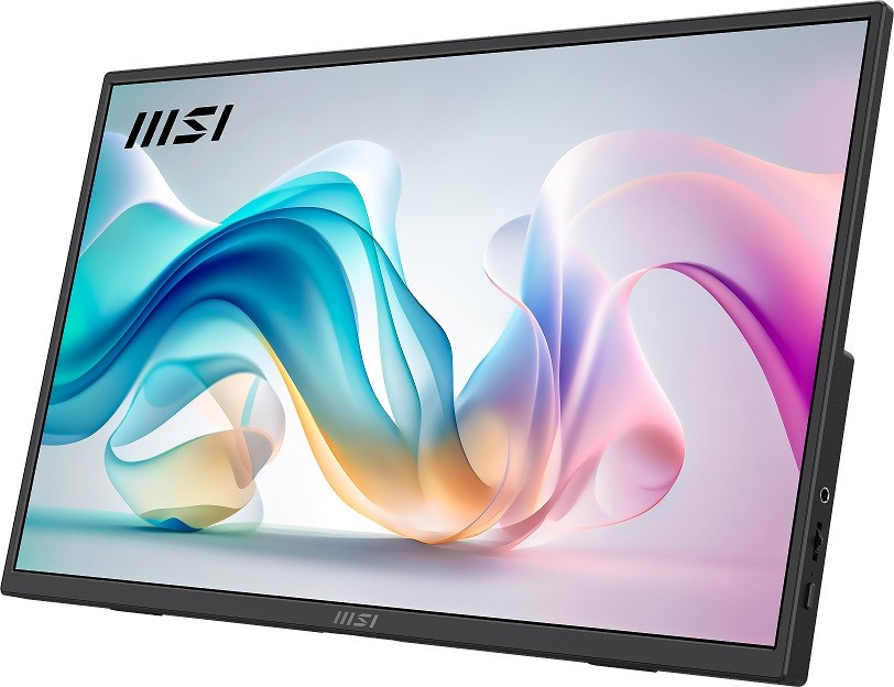MSI PRO MP165 E6 16" Portable Monitor