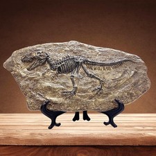 Replica T-Rex Fossil Tyrannosaurus Rex Dinosaur Skeleton Display Gift Jurassic