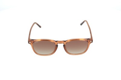 WMP Nick Brown Square 1023 Polarized Sunglasses 51-21-150