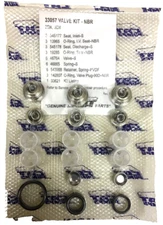 Cat Pumps 33057 Valve Kit OEM, Cat Pump 2DX, Cat Pump 3DX