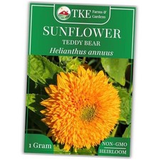 - Teddy Bear Sunflower Seeds for Planting, 30 Heirloom Non-GMO Seeds, Dwarf