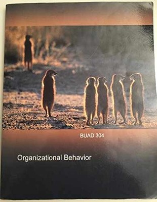 Organizational Behavior BUAD 304 - Paperback, by Tolan - USC - Very Good