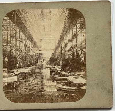 Looking Towards the North at the Crystal Palace, Sydenham, Vintage Stereoview