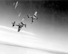 North American P-51 Mustang World War II WWII WW2 8x10 Photo 418c