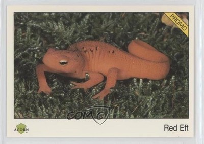 1991 Acorn Biosphere Promo Set Red Eft #90 0kb5