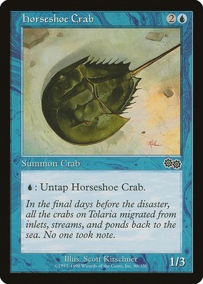 [MTG] Hufeisenkrabbe (080) (USG) HP-DMG