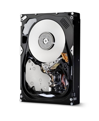 HGST Ultrastar 3.5-Inch 300GB 15000RPM SAS 64 MB Cache Enterprise Hard Drive----