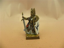 Warhammer painted High Elf Hero with Sword and Shield