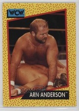 1991 Impel WCW Blank Back Arn Anderson #52 0ad