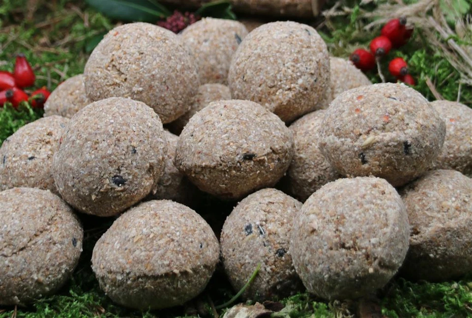 Anhaltiner Meisenknödel 100St. ohne Netz mit Insekten Rindertalg Wildvögel Fett - Bild 2 von 4