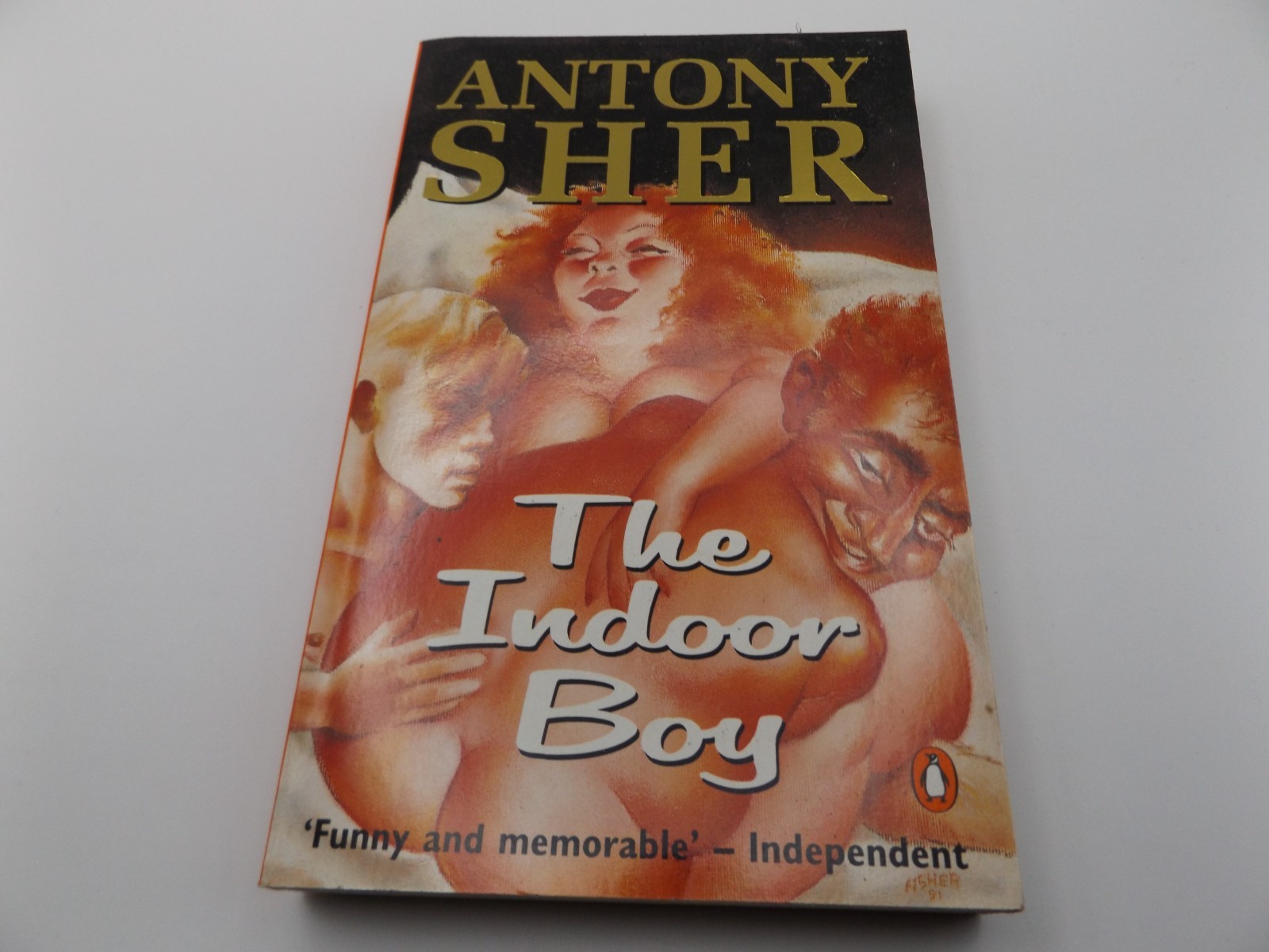 THE INDOOR BOY - SIGNED BY ANTONY SHER - 1992 PB BOOK
