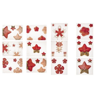 NEW Napking Asterias Linen Placemat & Napkin Set 12pce