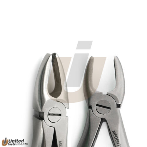 Elevadores dentales luxantes fórceps de extracción dental cirugía oral veterinaria - Imagen 2 de 9