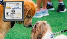 Petz: Dogz Talent Show - Nintendo DS - Game Only