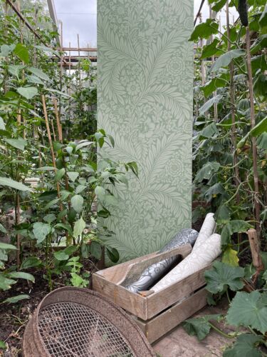 Papel Pintado Belgravia Florence Verde Salvia Patrón Floral Recubierto de Vinilo, Sin Pegar - Imagen 4 de 5